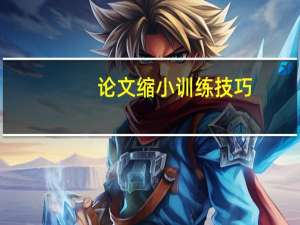 论文缩小训练技巧
