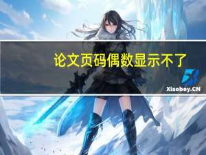 论文页码偶数显示不了