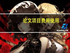 论文项目费用使用