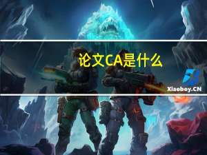 论文CA是什么