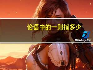 论语中的一则指多少