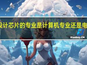 设计芯片的专业是计算机专业还是电子专业