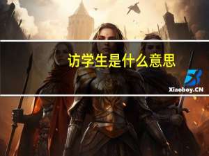 访学生是什么意思