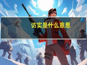 访实是什么意思