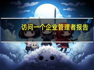 访问一个企业管理者报告（访问一个企业或一位管理者）