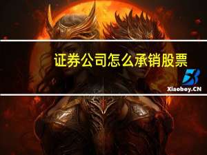 证券公司怎么承销股票