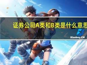 证券公司A类和B类是什么意思