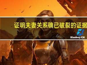 证明夫妻关系确已破裂的证据