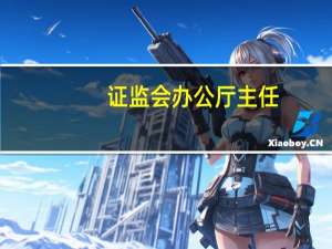 证监会办公厅主任