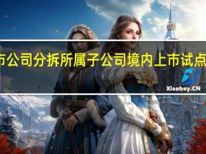 证监会就《上市公司分拆所属子公司境内上市试点若干规定》征求意见