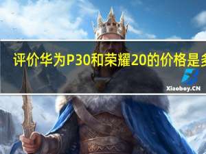 评价华为P30和荣耀20的价格是多少
