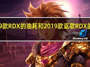 评价2019款RDX的油耗和2019款讴歌RDX的噪音分贝测试