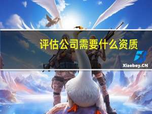 评估公司需要什么资质