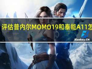 评估普内尔MOMO19和泰能A11怎么样？