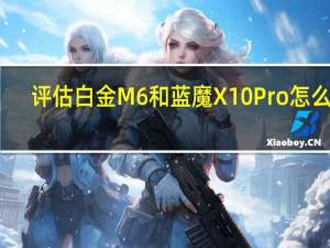 评估白金M6和蓝魔X10Pro怎么样？