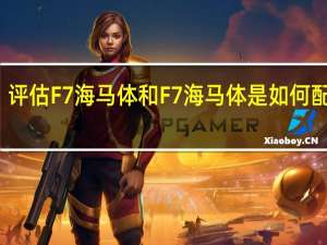 评估F7海马体和F7海马体是如何配置的