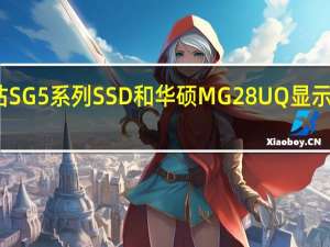 评估SG5系列SSD和华硕MG28UQ显示器怎么样？