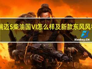 评测瑞迈S柴油国Ⅵ怎么样及新款东风风行T5多少钱