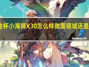 评测金杯小海狮X30怎么样 微面领域还是比较受欢迎