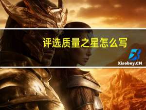 评选质量之星怎么写
