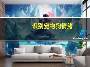 识别宠物狗情绪