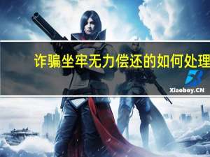 诈骗坐牢无力偿还的如何处理