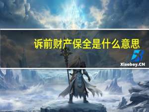 诉前财产保全是什么意思