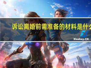 诉讼离婚前需准备的材料是什么