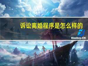 诉讼离婚程序是怎么样的