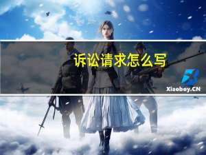 诉讼请求怎么写