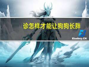 诊怎样才能让狗狗长胖