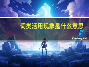 词类活用现象是什么意思