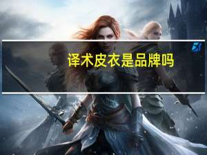 译术皮衣是品牌吗