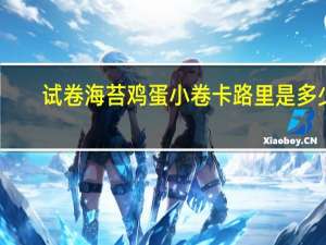 试卷 海苔鸡蛋小卷卡路里是多少