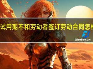 试用期不和劳动者签订劳动合同怎样赔偿
