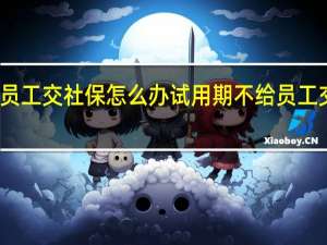 试用期不给员工交社保怎么办　试用期不给员工交社保有哪些后果