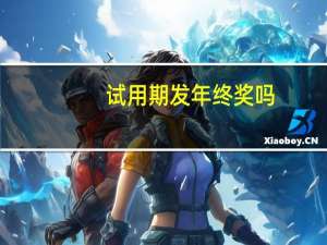 试用期发年终奖吗