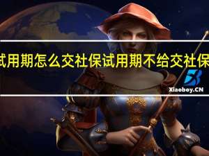 试用期怎么交社保　试用期不给交社保违法吗