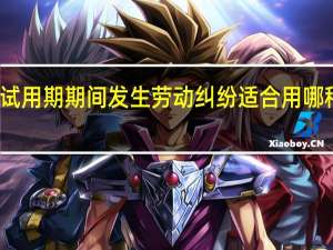 试用期期间发生劳动纠纷适合用哪种法律
