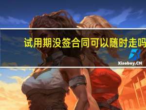 试用期没签合同可以随时走吗