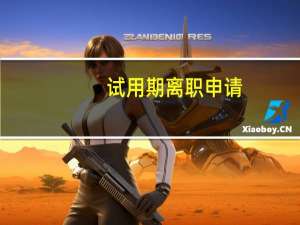 试用期离职申请