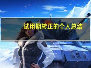 试用期转正的个人总结