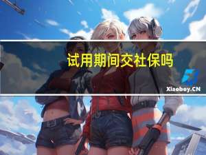 试用期间交社保吗