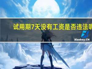 试用期7天没有工资是否违法呢