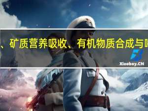 试述水分、矿质营养吸收、有机物质合成与呼吸作用的关系。