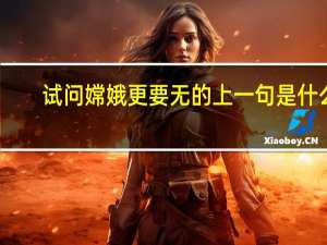 试问嫦娥更要无的上一句是什么