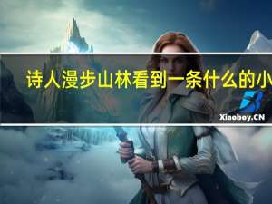 诗人漫步山林看到一条什么的小路