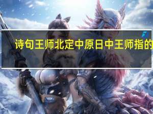 诗句王师北定中原日中王师指的是