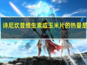 诗尼坎普 维生素咸玉米片的热量是多少