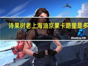 诗果树老上海油京果卡路里是多少